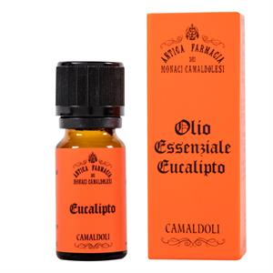 OE EUCALIPTO