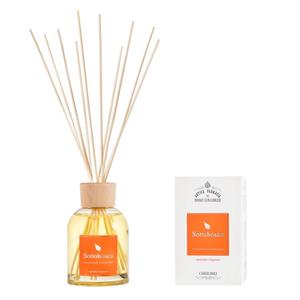 FRAGRANZA AMBIENTE SOTTOBOSCO 250 ML